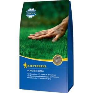 Kiepenkerl Schatten-Rasen 2 kg