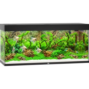 Juwel Aquarium-Set Rio LED Schwarz 240 l