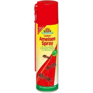 Neudorff Loxiran Ameisen-Spray 400 ml