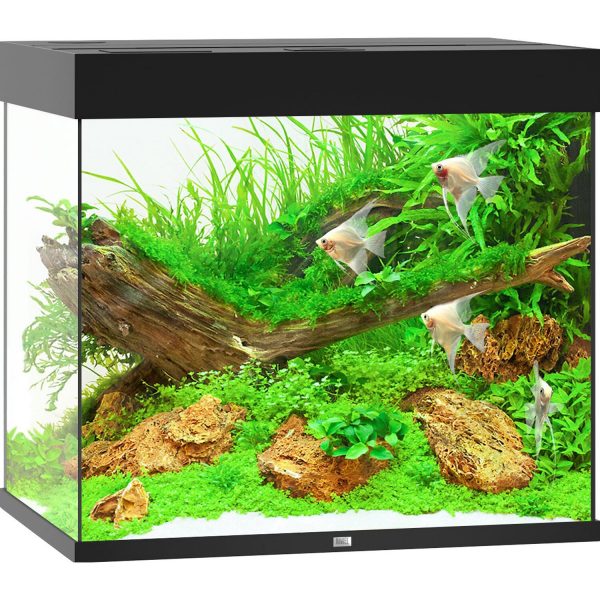 Juwel Aquarium Lido LED Schwarz 200 l