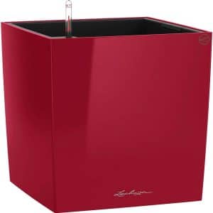 Lechuza Pflanzgefäß Cube Premium 50 cm x 50 cm Scarlet Rot hochglanz