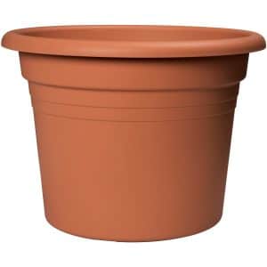 Florus Pflanztopf Cilindro Ø 35 cm Terracotta