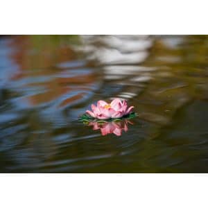 Seerose künstlich Ø 18 cm Rosa
