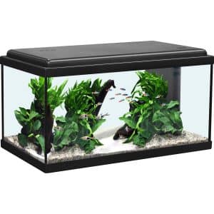 Aquatlantis Aquarium-Set Advance 60 LED Schwarz 48 l