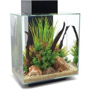 Fluval Aquarium-Set Edge 2.0 LED 46 l Schwarz