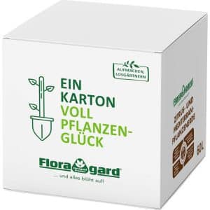 Floragard Zitrus- und Mediterranpflanzenerde in der Box 60 l