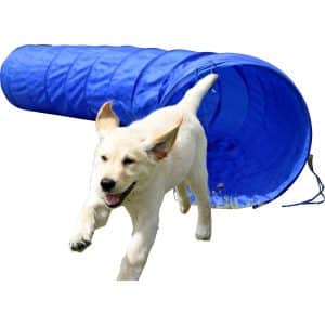 Dobar Agility Tunnel 300 cm Ø 50 cm Blau