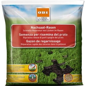 OBI Nachsaat-Rasen 250 g