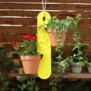 Gardenguard Blumenampel Gelb 10 cm x 50 cm