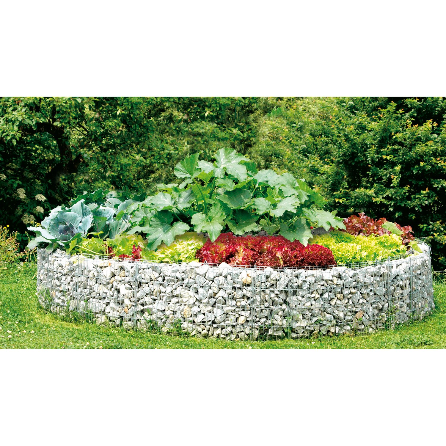 Bellissa GabionenHochbeet rund Ø 240 cm / Ø 220 cm x 40 cm online