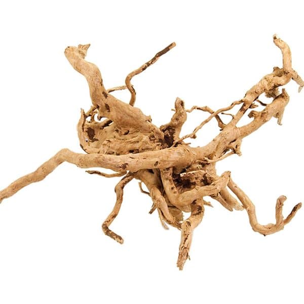 Aquarienwurzel Spiderwood Stück ca. 30 cm - 40 cm