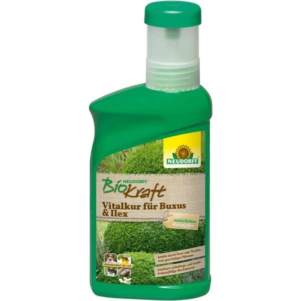 Neudorff BioKraft Vitalkur für Buxus und Ilex 300 ml