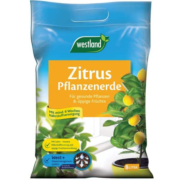 Westland Zitruspflanzenerde 8 l