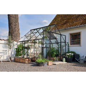 Halls Gewächshaus Qube+ 88 mit 3 mm Sicherheitsglas 6