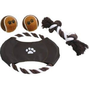 Heim Hunde-Outdoor-Spielzeug-Set 4-teilig