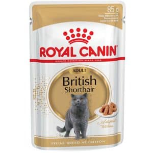 Royal Canin British Shorthair Adult Katzenfutter Nass für Britisch Kurzhaar 85 g