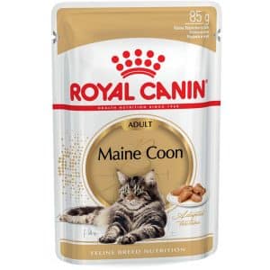 Royal Canin Maine Coon Adult Katzenfutter Nass 85 g