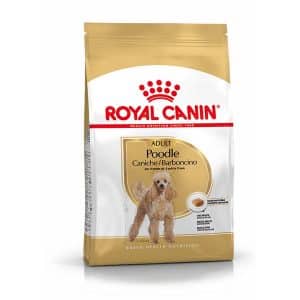 Royal Canin Poodle Adult Hundefutter Trocken für Pudel 1