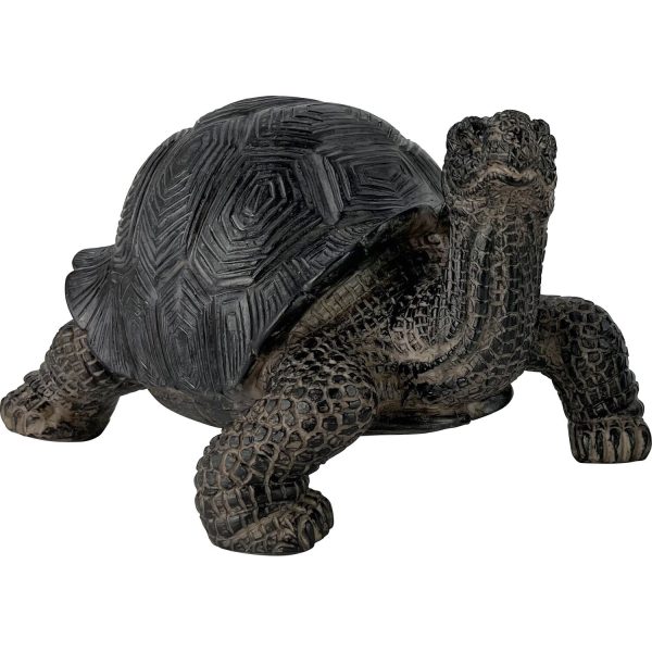 Gartenfigur Schildkröte 13