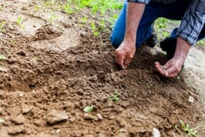 Gartenarbeit im Frühling