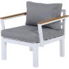 Gartenfreude Aluminium-Sessel Ambience 75 x 63 x 44 cm Weiß-Grau