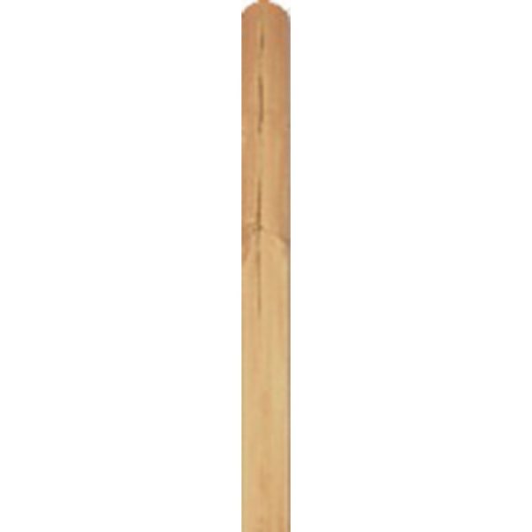 T & J Lamelle aus Daan-Serie 20 mm x 145 mm