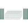 Standard-Zaunset 6/5/6 Doppelstab 8 Matten + 9 Pfosten 250/63 cm Dunkelgrün