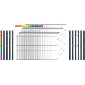 Industrie-Zaunset 8/6/8 Doppelstab 10 Matten+11 Pfosten 250/103 cm Freie Farbw.