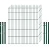 Industrie-Zaunset 8/6/8 Doppelstab 5 Matten + 6 Pfosten 250/203 cm Dunkelgrün